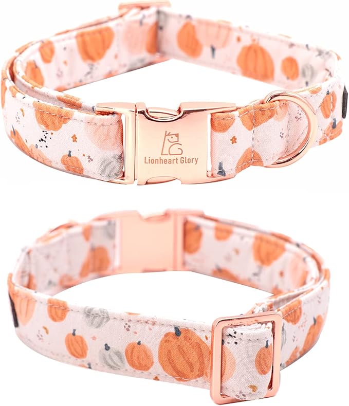 Lionheart glory Premium Dog Collars, Bowtie Dog Collar, Adjustable Heavy Duty Halloween Dog Collar with Bow for Medium Dogs
