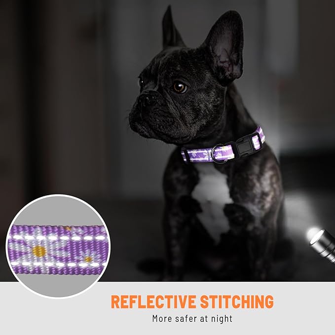 Dog Collar Cute Flower, Reflective Adjustable Basic Collars for Girl Female Small Medium Large Dogs Walking Running(Small,Purple)