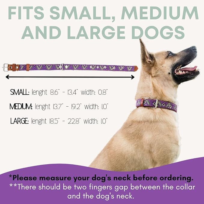Western Dog Collar – Leather Embroidered Design for Small Medium Large Dogs & Puppy Pets - Aztec & Southwest for Boy and Girl Female & Male Dogs - Collar para Perros Beaded (Small, Amethyst)
