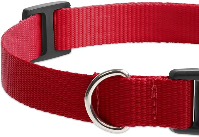 Replacement Collar for Shock Collar, Stylish & Comfortable Puppy Collar 2 Pack for Boy & Girl, Compatible with PetSafe Bousnic Sportdog Garmin Trainers for Small Medium Large Dogs (Green & Red)