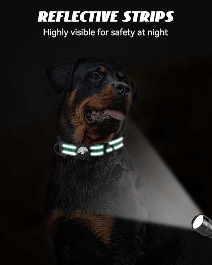 Joytale Airtag Dog Collar, Dual D-Rings, Reflective Pet Collar with Waterproof AirTag Holder, Soft Padded Adjustable for Medium Dogs, Teal, M