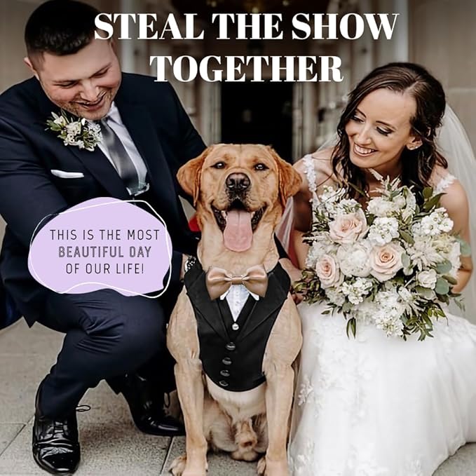 Dog Tuxedo for Wedding Outfit, Dog Suit and Tie Costumes for Birthday, Halloween, Cosplay, Christmas Party, Pet Formal Wear with Bowtie, Tux for Medium Large Dogs, Bulldog, Labrador, Husky