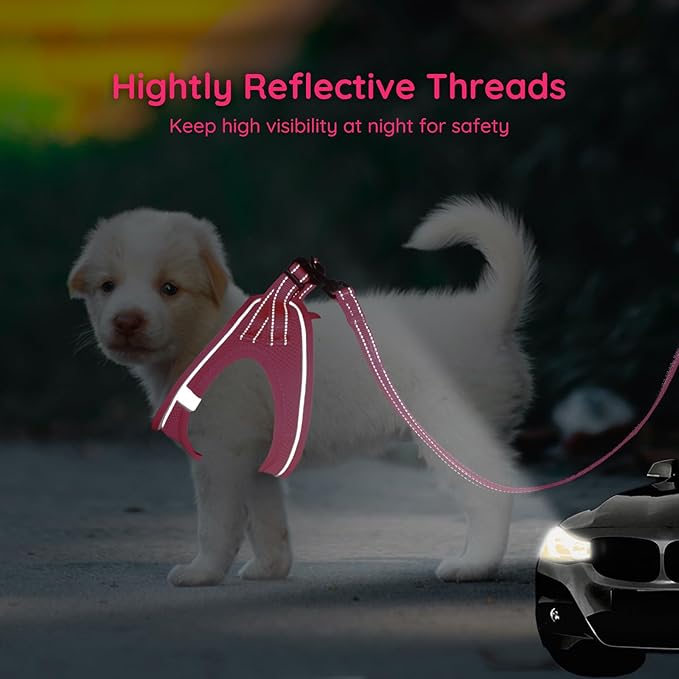 BELLA & PAL Puppy Harness with Leash Set, Dog Harness for Small Dogs No Pull, Dog Leash for Small Dogs, Step in Harness for Extra Small Dogs, Hot Pink Harness, M