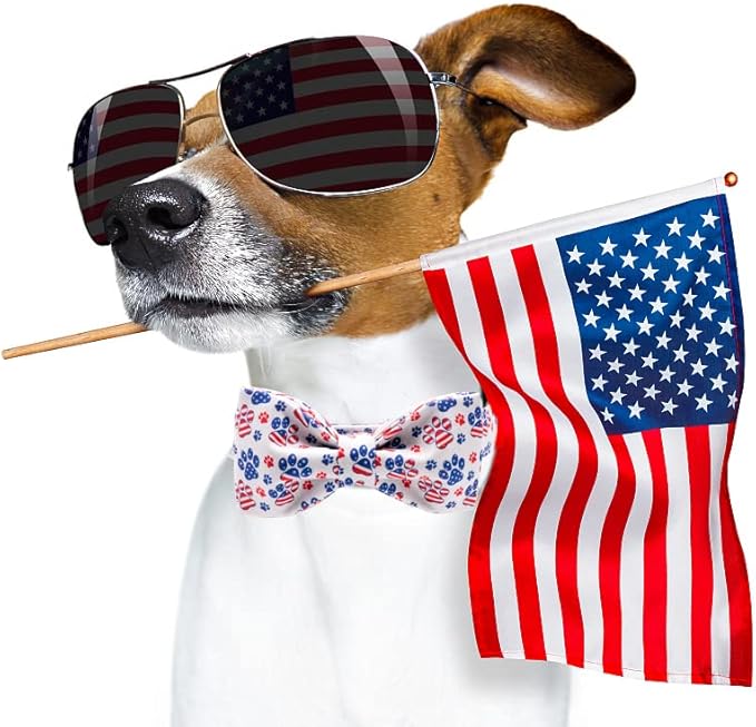 Lionheart Glory American Flag Dog Collar - 4th of July Collar with Adjustable Bow for Small Dogs