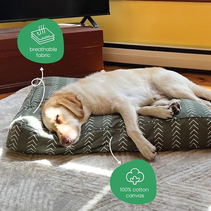 Molly Mutt Small Dog Bed Cover - Forever Young Print - Measures 22”X27”X5’’ - 100% Cotton - Durable - Breathable - Sustainable - Machine Washable Dog Bed Cover (Dd82a)