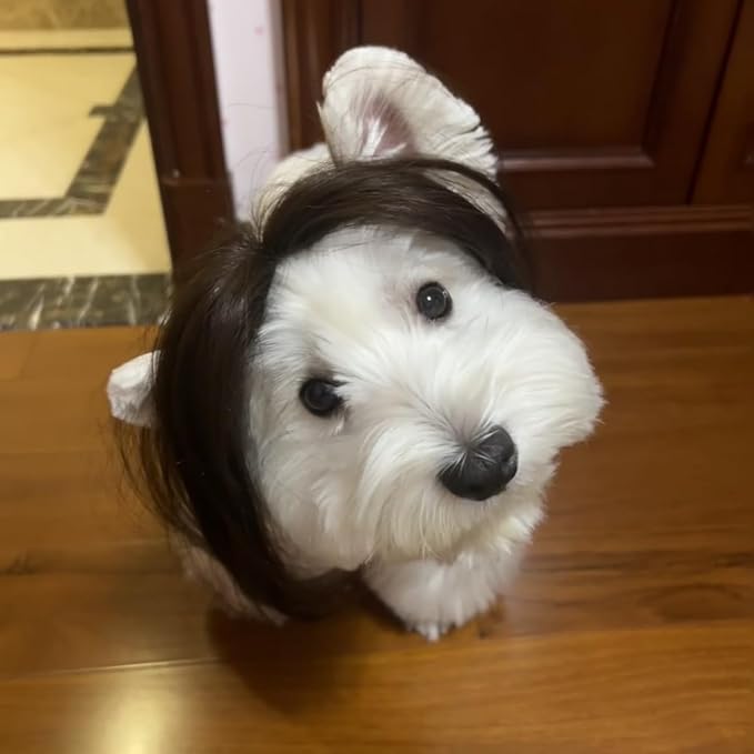 Spa Day Dog Costume Cosplay Wig, Curly Hair Pet Cat Wigs for Halloween Parties Dog Hats Wigs for Small Medium and Large Dogs Adjustable(Pet Head Circumference 6-27 inches)