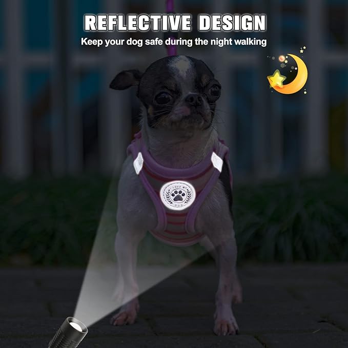 BEAUTYZOO Dog Harness and Leash Set for Small Dogs,No Pull Step-in Harness for Puppy XS S Sized Dogs and Cats,Air Mesh Adjustable Breathable Soft No Chock Escape Proof Vest Harnesses,Striped Pink S