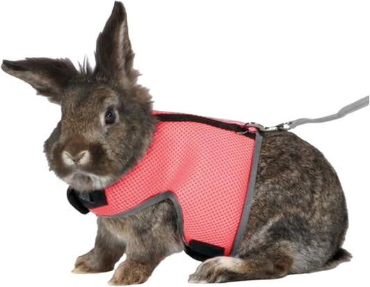 MANON ROSA Rabbit Harness and Leash Set - Adjustable Escape-Proof Training and Walking Gear for Guinea Pigs Bunnies Chinchillas Hamsters Ferrets Rats Kittens and Small Dogs Puppies Cats (Orange Red,S)