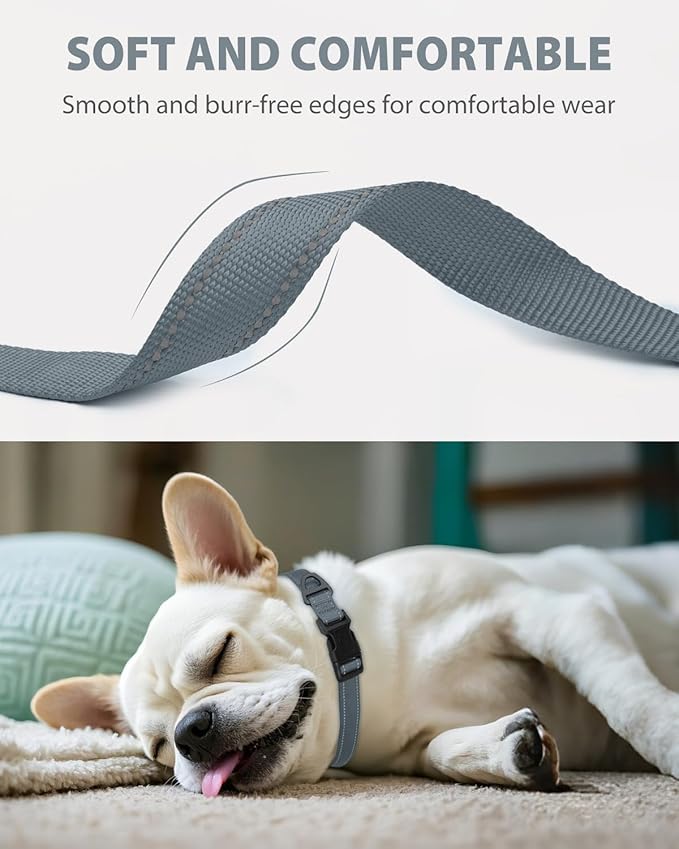 Joytale Small Dog Collar, Reflective and Adjustable Nylon Collar with Quick-Release Buckle, Lightweight No-Choke Design for Small Dogs, Gray, 5/8" Width
