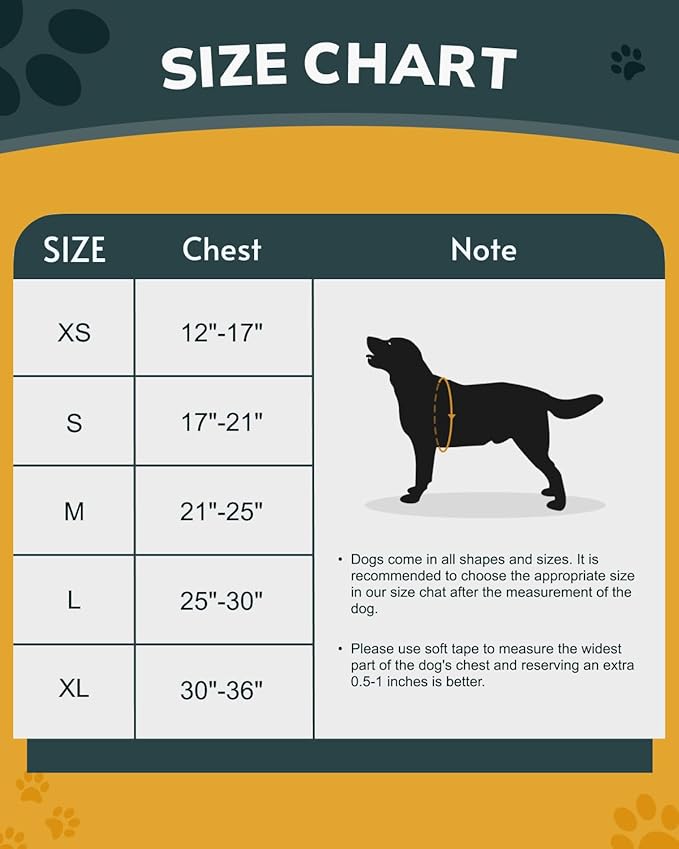 MIDOG Dog Harness, No-Pull Pet Harness and Leash Set for Small Medium Large Dogs Walking, No Choke Front Clip Dog Reflective Harness, Adjustable Soft Padded Pet Vest with Easy Control Handle (Blue,XS)