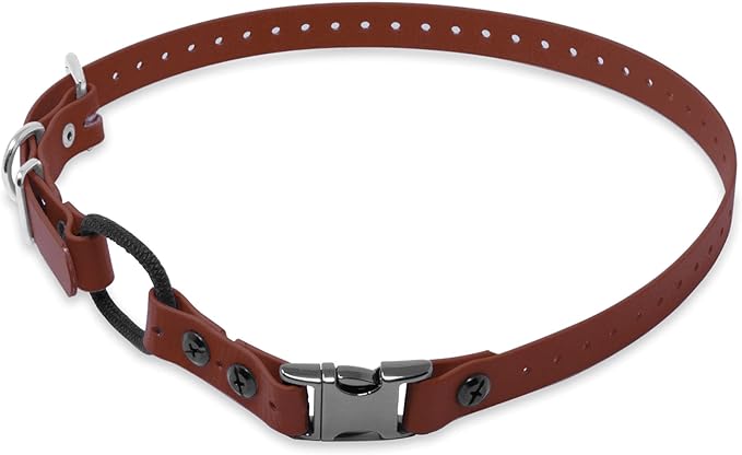 Educator Quick Snap Bungee Dog Collar, Biothane, Waterproof, Odorproof, Easy Connect and Disconnect Clasp and D Ring with Comfort Bungee Loop, Adjustable for Custom Fit, 1-Inch, Brown