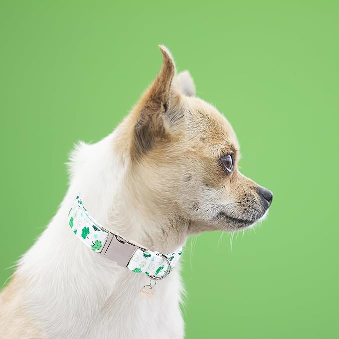 St. Patrick's Dog Collar, Cotton St. Patricks Clover Collar for Puppy Girl Boy Dog or Cat, Lucky Shamrock Dog Collar with Metal Buckle, Green, Spring, M