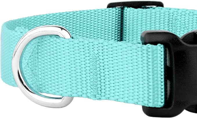 Country Brook Petz - American-Made Dog Collar for Large, Medium, and Small Dogs and Puppies - Deluxe Heavy Duty Nylon in 33 Dazzling Colors (Small, 3/4 Inch Wide, Light Cyan)