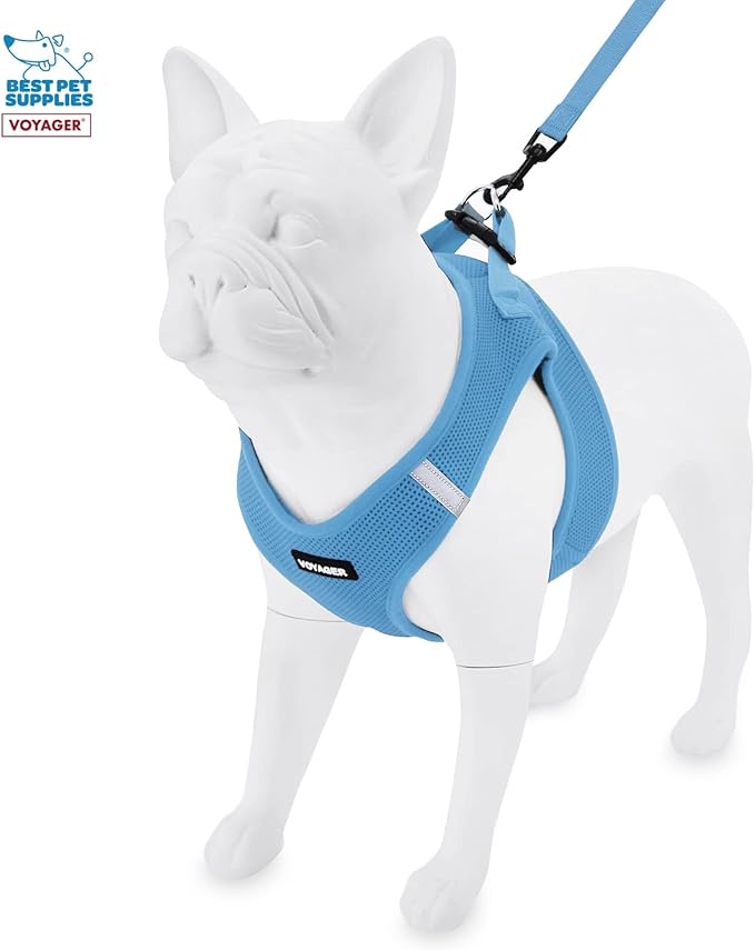 Voyager Step-in Air All Weather Mesh Harness and Reflective Dog 5 ft Leash Combo with Neoprene Handle, for Small, Medium and Large Breed Puppies by Best Pet Supplies - Blue, XXX-Small