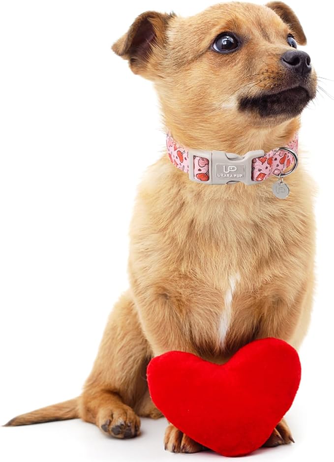 Valentine’s Dog Collar, Pink Heart Dog Collar with Quick Release, Valentine’s Gift Pet Collar for Puppy Girl Boy Dog, Wedding Dog Collar