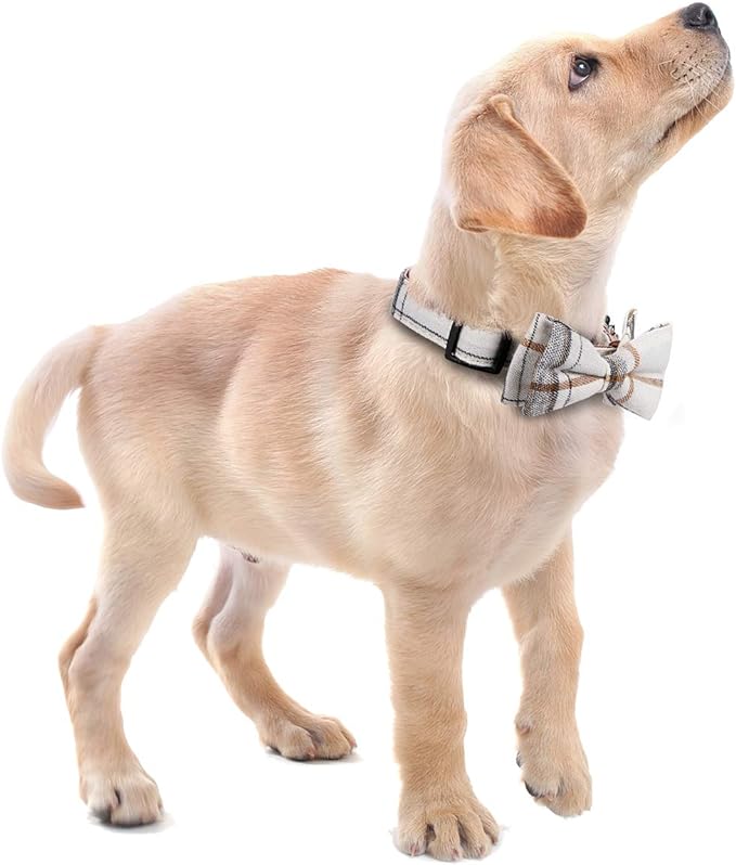 Faleela Soft &Comfy Bowtie Dog Collar,Detachable and Adjustable Bow Tie Collar,for Small Medium Large Pet (S, Beige)