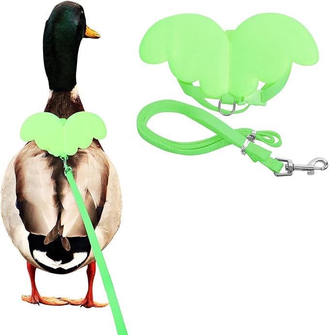 KAMA BRIDAL Duck Walking Harness and Leash Chicken Duck Outdoor Training Rope Adjustable Rope for Pet Poultry Hen Cock (M, Green)