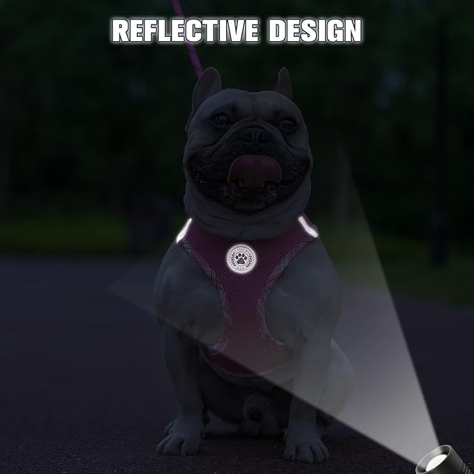 BEAUTYZOO Dog Harness and Leash Set for Small Medium Dogs,No Pull Step-in Harness for Puppy S M Sized Dogs and Cats,Air Mesh Adjustable Breathable Soft No Chock Escape Proof Vest Harnesses,Pink XL