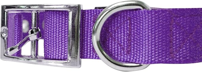 Downtown Pet Supply Deluxe Dog Collar - Padded Adjustable Dog Collar with Metal Buckle & D-Ring - Machine Washable & Water Resistant Thick Dog Collar - Purple - S - Small Dog Collar