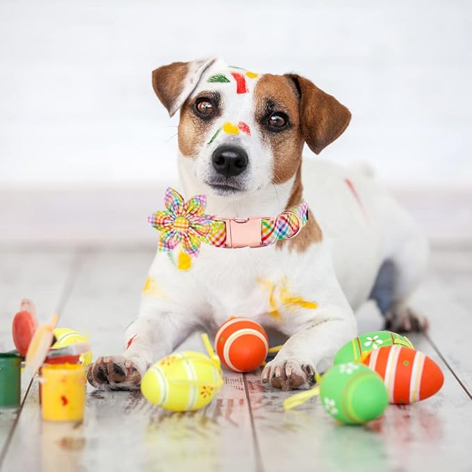 Lionet Paws Easter Dog Collar with Flower - Colorful Cute Cotton Flower Dog Collar with Metal Buckle for Small Dog Girl, S, Neck 10-16in