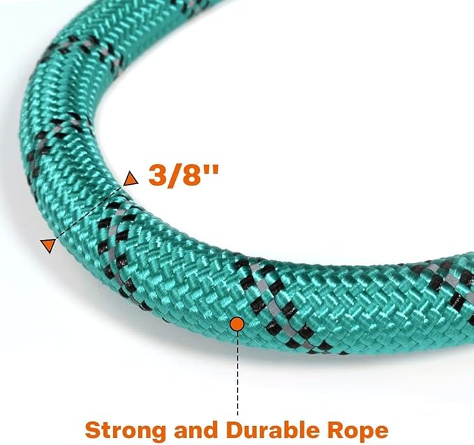 Taglory Rope Dog Leash 4 FT with Comfortable Padded Handle, Highly Reflective Threads Leash for Small Dogs, 3/8 inch, Turquoise