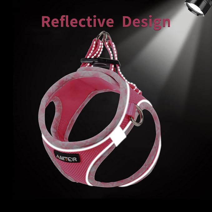 AMTOR Small Dog Harness with Leash Set, No Escape Easy Walk Puppy Harnesses for Training Walking, Step-in Reflective Soft Dogs Vest for XS S Medium Extra-Small Large Sized Dog(Fuchsia,XXS)