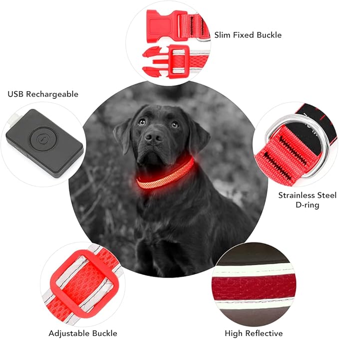 YFbrite Light up Dog Collar, USB Rechargeable LED Puppy Collar Super Bright Adjustable Glowing Dog Lights for Night Walking (Red, Large)