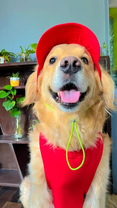 Red Baseball Cap (Small)