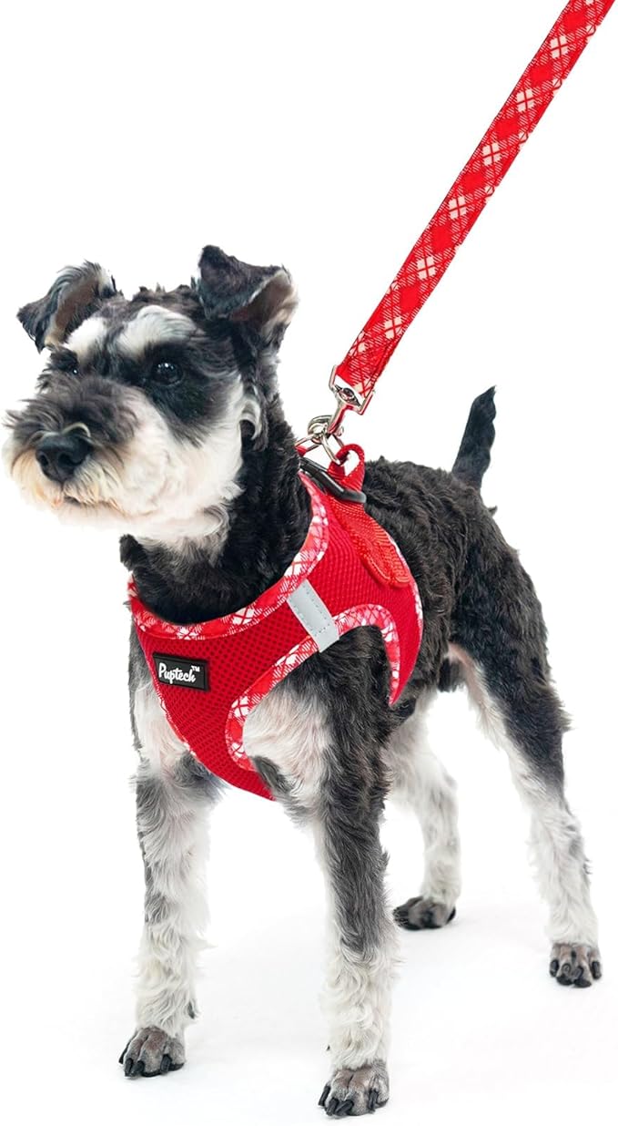 PUPTECK Dog Harness and Leash Set for Small Medium Dogs No Pull Step-in Soft Mesh Puppy Cat Vest Harnesses Reflective at Night, Red, M