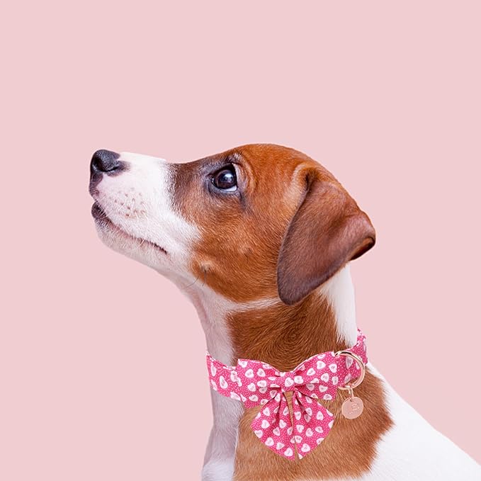 Valentine’s Dog Collar with Bow Tie, Pink Heart Bowtie Collar with Metal Buckle, Valentine’s Gift Pet Collar for Puppy Girl Boy Dog or Cat, Wedding Dog Collar, XS