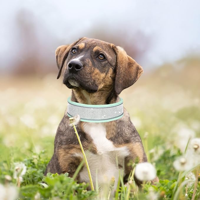 Bling Rhinestone Dog Collar Soft Comfortable Stylish Dog Collar with Bright Reflective Stripe Premium Adjustable Diamond Crystal Pet Collar for Small Medium and Large Dogs (L, Green)