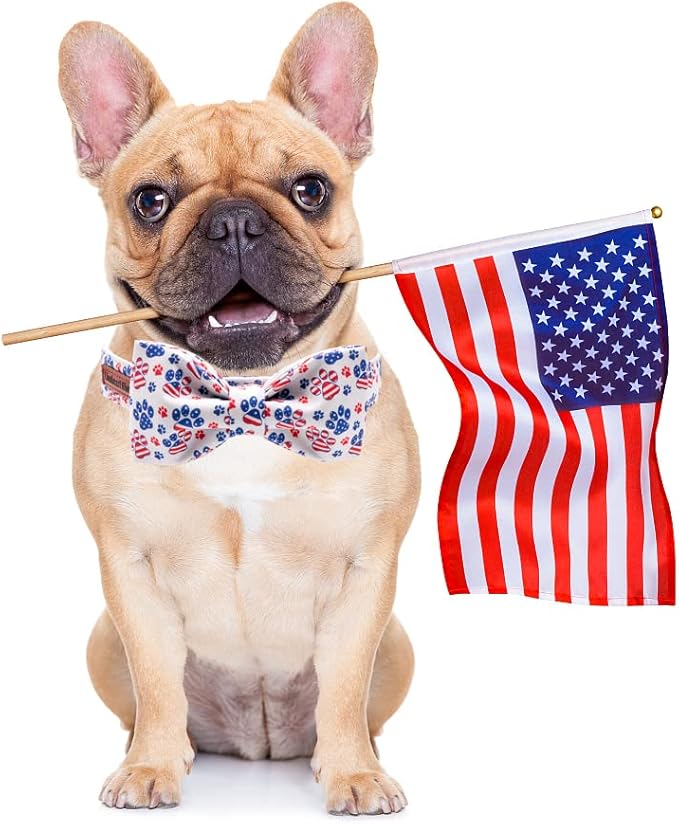 Lionheart Glory American Flag Dog Collar with Bow, Adjustable for Large Dogs