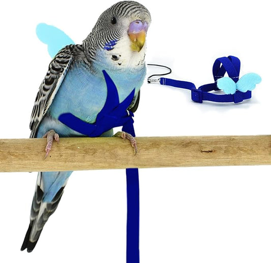 Budgerigar Harness and Leash, Adjustable Parrot Bird Training Design Anti-Bite, Bird Nylon Rope with Cute Wing for Budgerigar and Same Size Birds (S, Blue)