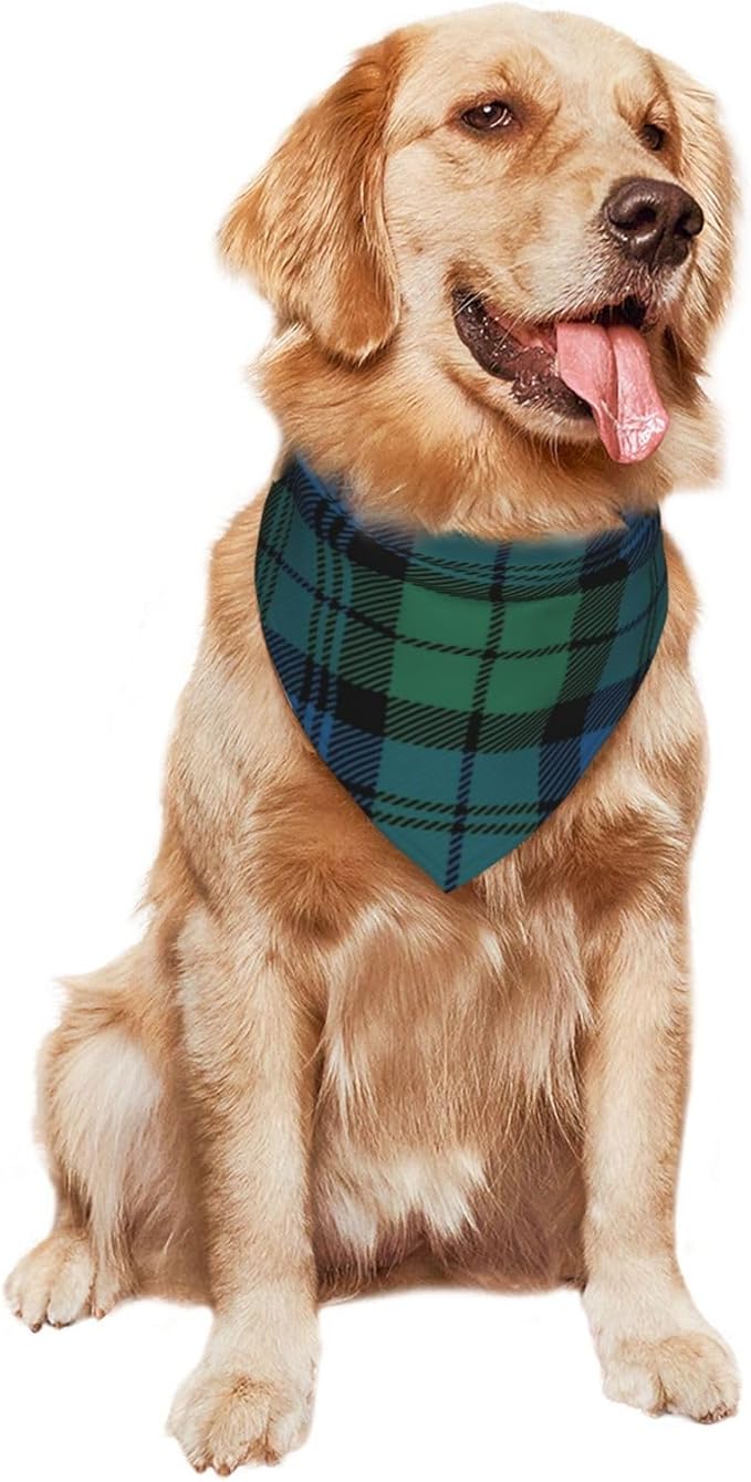 Triangle Plaid Tartan Scottish Clan Campbell Cat & Dog Scarf, Plaid Pet Scarf for Small to Large Dogs & Cats