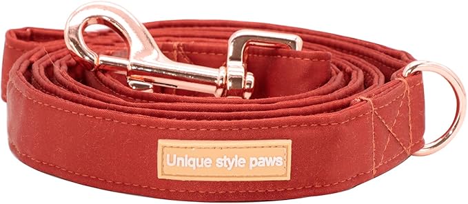 Unique style paws Silk Dog Leash Durable Dog Leashes with Welded D-Ring Comfortable Handle for Small Medium Large Dogs