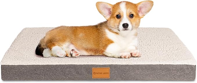 Patas Lague Orthopedic Dog Bed for Small Dogs, Soft Comfortable Waterproof Egg Crate Foam Small Pet Beds Mat with Removable Washable Cover, 20''X15'' Ivory