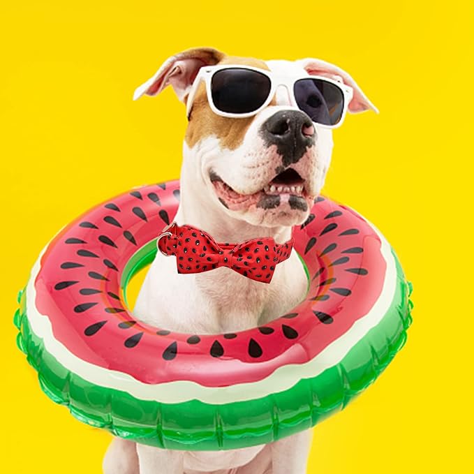Lionheart glory Dog Collar, Watermelon Dog Collar with Bow, Summer Dog Bowtie Collar Cute Pet Collar Gift for Large Dog