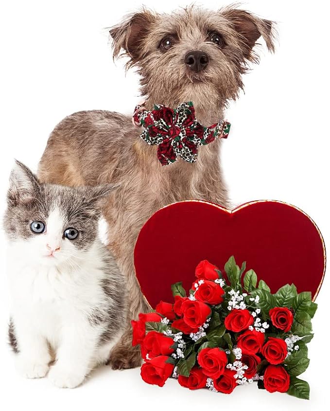 Lionheart Glory Cute Floral Pattern Pet Collar with Rose, Adjustable for Small Dogs