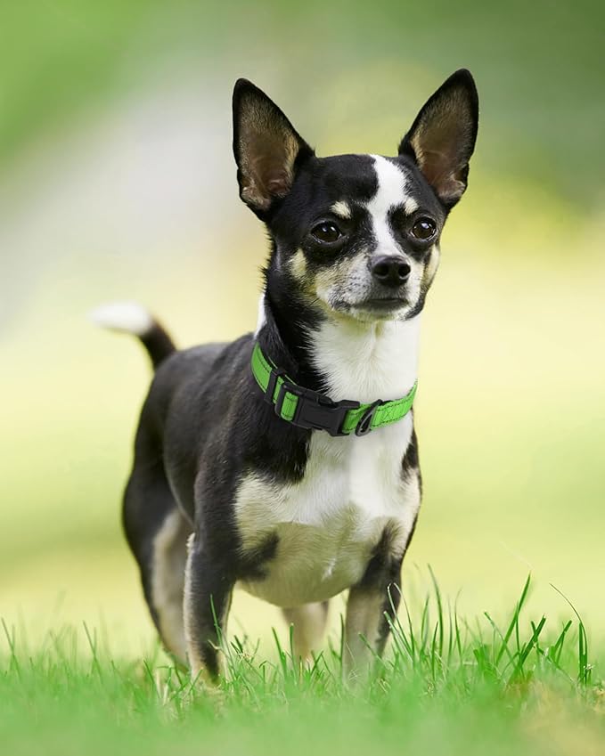 Joytale Reflective Dog Collar,Soft Neoprene Padded Breathable Nylon Pet Collar Adjustable for Puppy and Small Dogs,Green XS