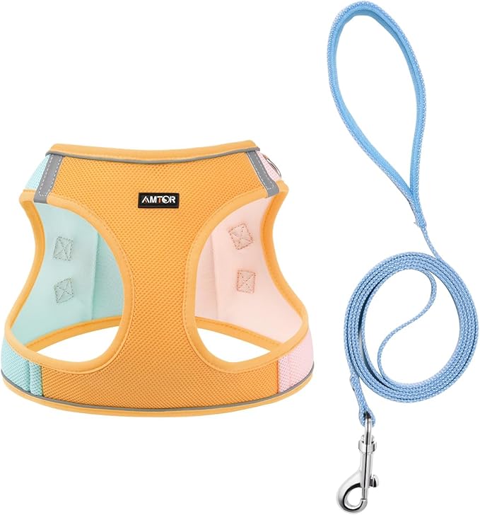 AMTOR Small Dog Harness with Leash Set, No Escape Easy Walk Puppy Harnesses for Training Walking, Step-in Reflective Soft Dogs Vest for XS S Medium Extra-Small Large Sized Dog(Orange)
