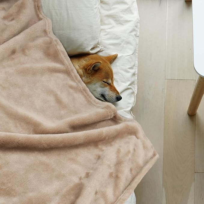 Onarway Dog Blanket Washable for Puppy: 4 Packs Dog Blankets 40”x28” - Fluffy Soft Small Throw for Cat Puppy Kitten Dogs - Fleece Pet Blankets for Bed Sofa Car and Indoor - Khaki