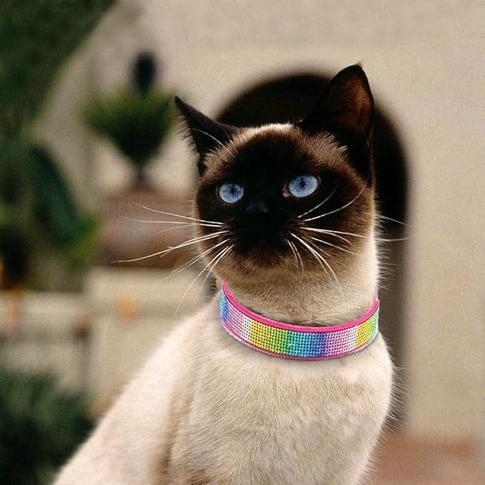 Cute Dog Collar with Bling Rhinestone, Fancy Crystal Diamond Glitter Pretty Jewel Soft Cat Collars for Small Medium Large Breed Dogs Girl Female Pet Puppy Kitten Terrier (S, Hot Pink3)