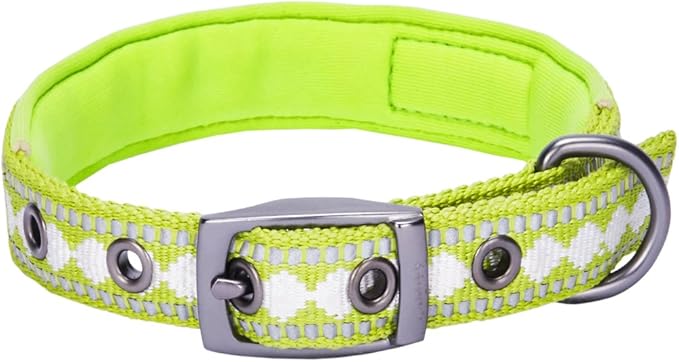 Blueberry Pet Soft & Safe 3M Reflective Jacquard Neoprene Padded Adjustable Dog Collar with Metal Buckle - Macaw Green, Neck 13-16.5", for Medium Breed