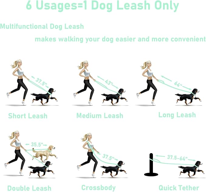 ZALER Dog Collar and Leash Set, Waterproof Adjustable Odor Proof Pet Collars Leashes Easy to Clean, 6FT Dog Leash with 2 Hooks for Large, Medium Small Dogs (S, Mint Green)
