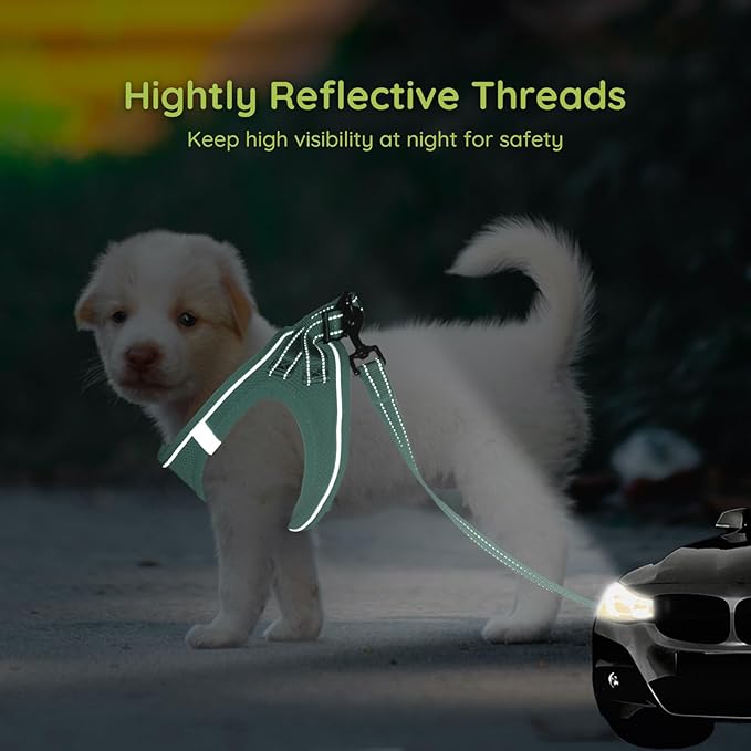BELLA & PAL Puppy Harness & Leash Set, No Pull, Step-in Harness for Extra Small Dogs, Light Green, XS