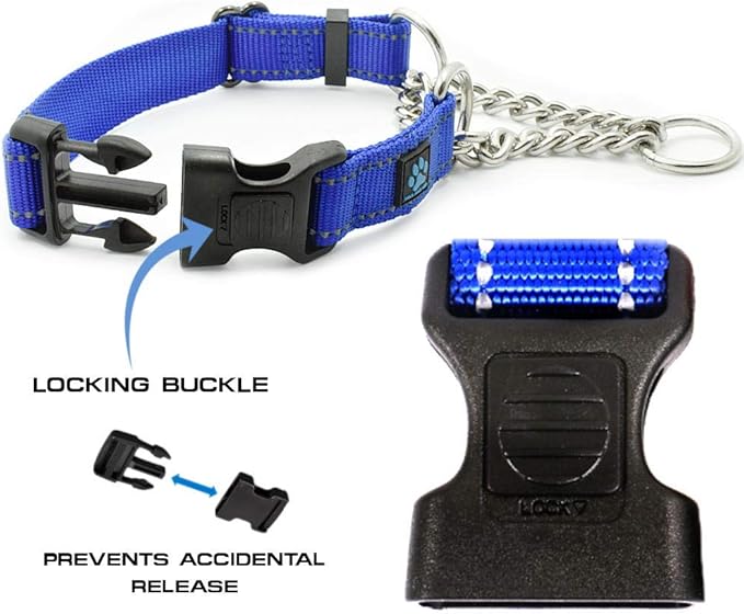 Max and Neo Stainless Steel Chain Martingale Collar - We Donate a Collar to a Dog Rescue for Every Collar Sold (Large, Teal)
