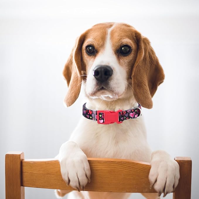 Dog Collar for Medium Dogs with Cute Heart Patterns for Girl & Boy Dogs, Adjustable Soft Pet Collar with Safety Buckle for Small Medium Large Dog (Heart M)