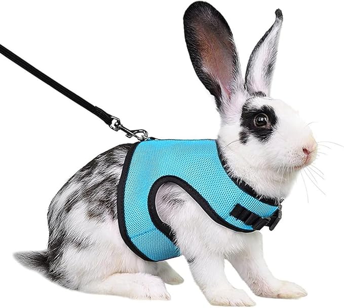 Bunny Harness Proof Set, Rabbit Harness and Leash Set, Vest Mesh Walking Training for Small Animal Pets Rat Squirrel Ferret Chinchillas Guinea Pig Bunnies,Blue XL