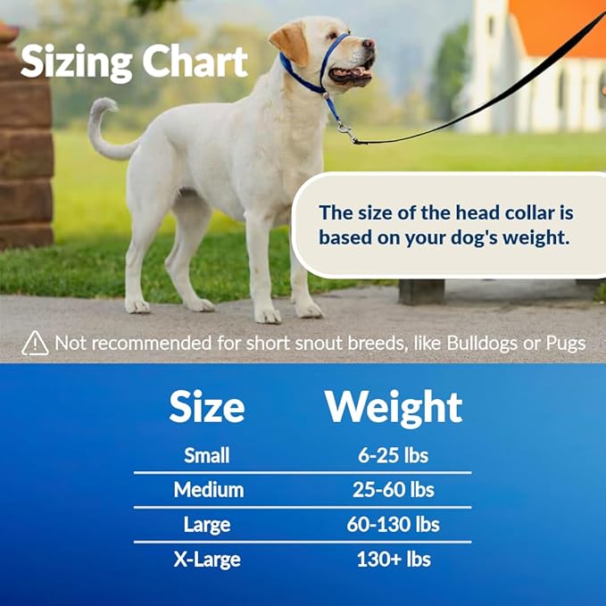 Headcollar for Dogs, Extra Soft Padded, Reflective, No Pull Dog Collar, Gentle Leader for Dogs with Durable Nylon Leash, Padded Handle - Navy Blue (X-Large)