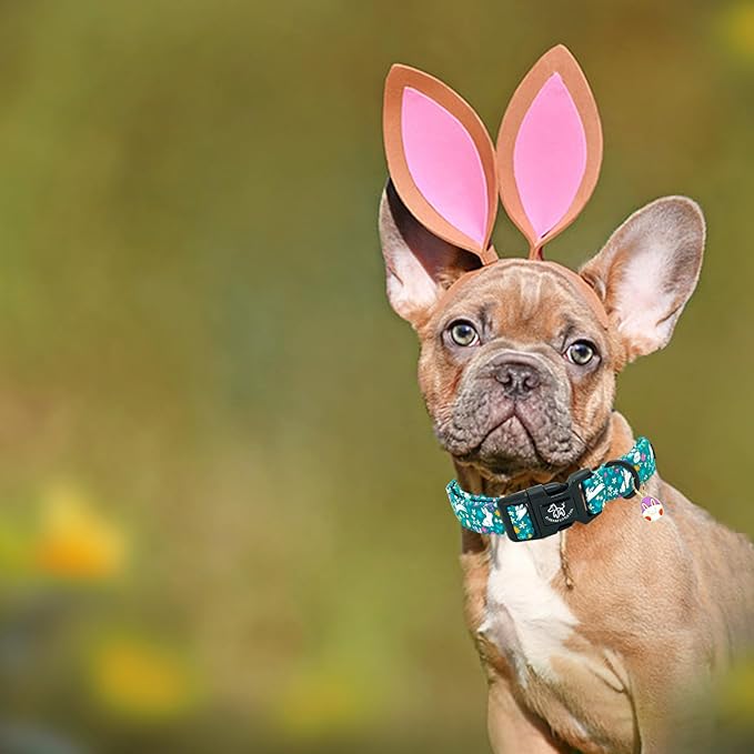 Elegant little tail Easter Dog Collar, Cute Rabbit Pattern Pet Collar Durable Holiday Girl or Boy Adjustable Cotton Pet Collar with Quick Release Buckle for X-Small Puppy